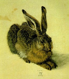 hare.jpg (26939 bytes)
