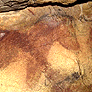 a
Altamira horse (Cave in Spain)