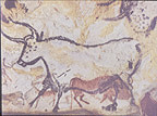 Lascaux bull