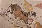 Lascaux horse (Cave painting)