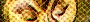 birdseyes.jpg (1808 bytes)
